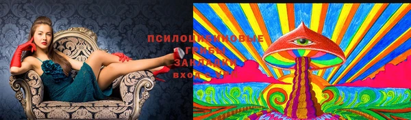 бошки Покровск