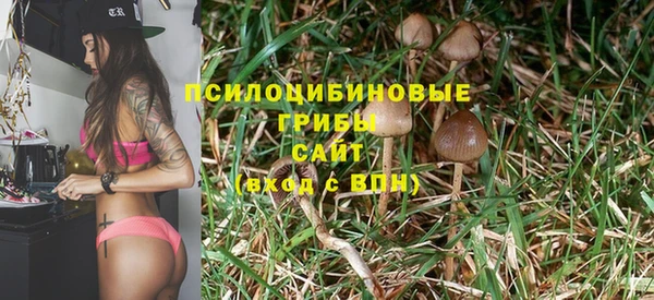 бошки Покровск