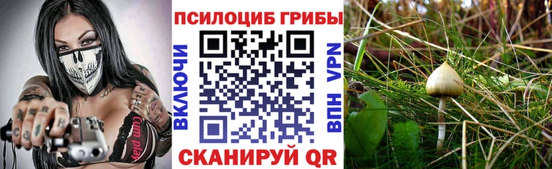 Купить закладки  Ялта  Галлюциногенные грибы Magic Shrooms 